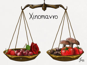 Einige Gründe, warum man Xinomavro lieben sollte