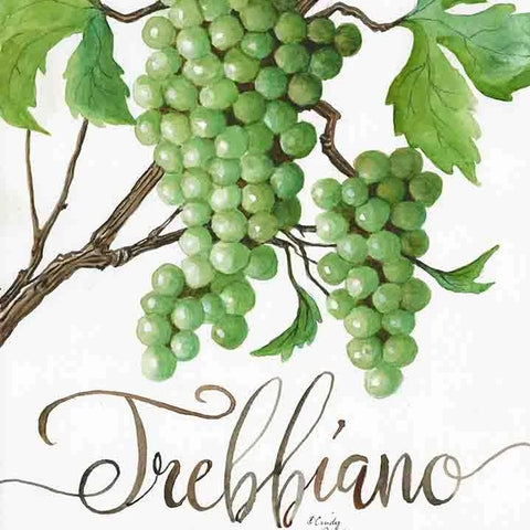 Trebbiano